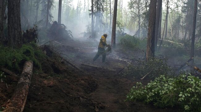 Сотрудник лесохраны во время ликвидации лесного пожара в Богучанском районе Красноярского края