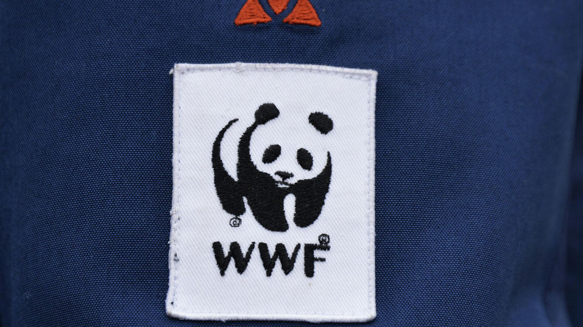 Эмблема WWF на униформе одного из сотрудников лесного отдела Амурского филиала WWF России в Приморском крае - РИА Новости, 1920, 04.04.2023
