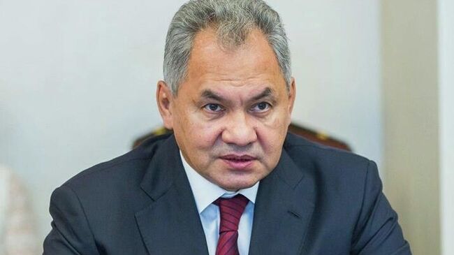 Министр обороны РФ Сергей Шойгу 