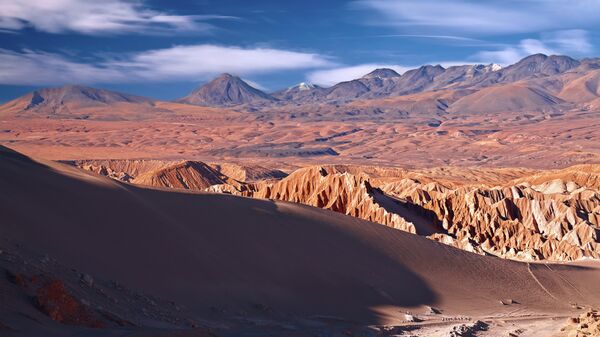 В пустыне Атакама находится самое засушливое место на Земле. Условия обитания там схожи с марсианскими