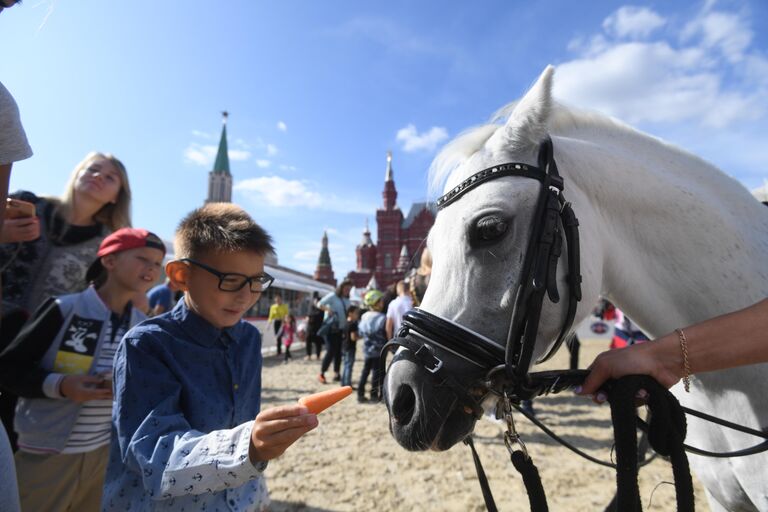 Благотворительное мероприятие для детей-инвалидов в конном манеже на фестивале Спасская башня