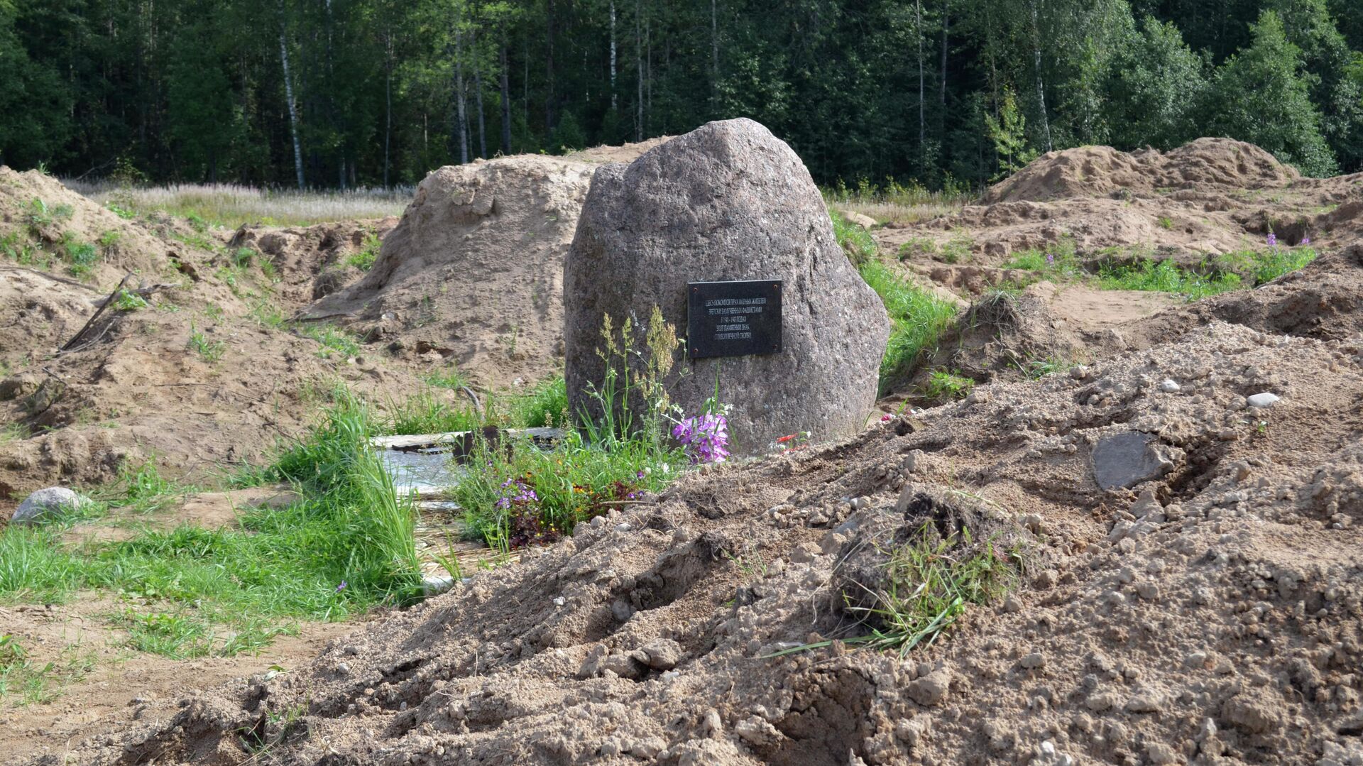 Место раскопок в районе деревни Жестяная Горка, где следователи обнаружили около 500 тел жертв латвийских карателей - РИА Новости, 1920, 27.10.2020