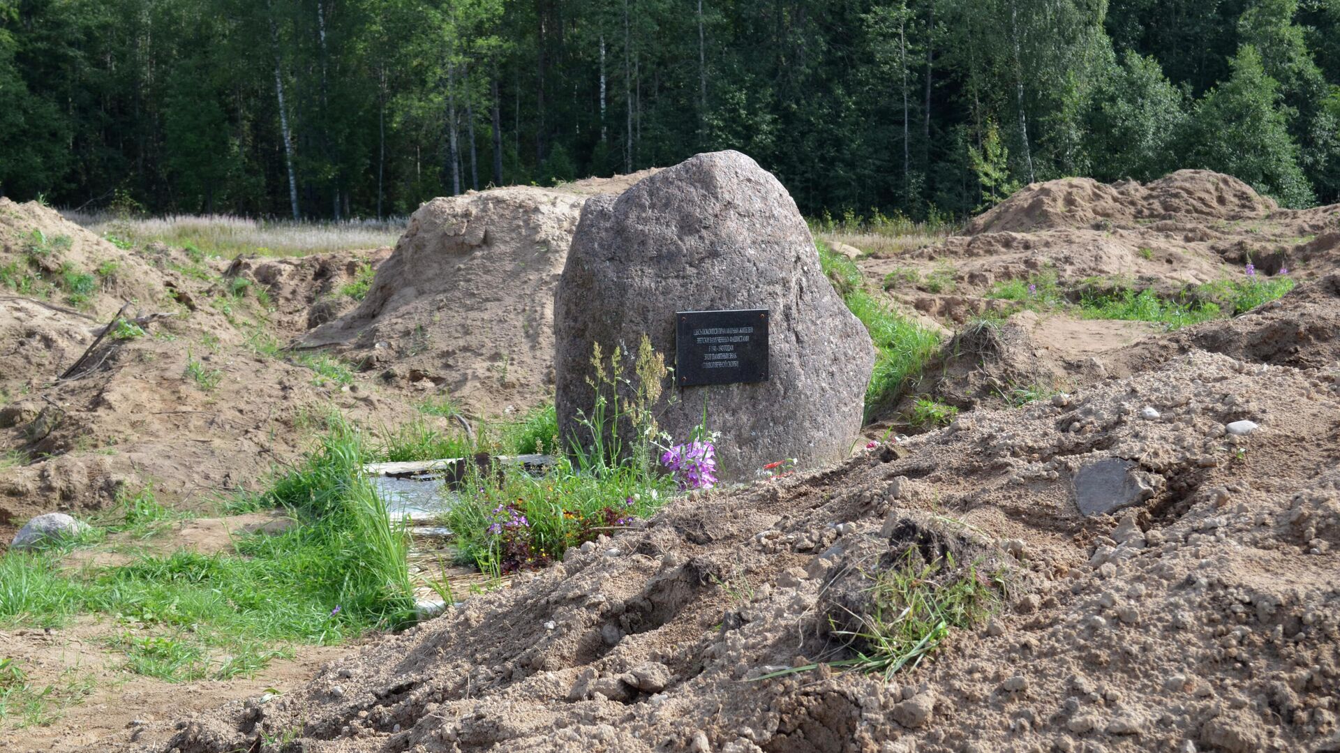 Место раскопок в районе деревни Жестяная Горка, где следователи обнаружили около 500 тел жертв латвийских карателей - РИА Новости, 1920, 27.08.2019