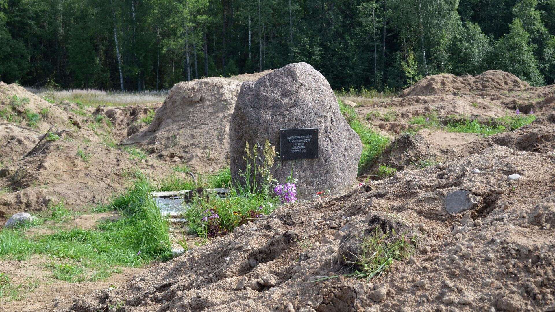 Место раскопок в районе деревни Жестяная Горка, где следователи обнаружили около 500 тел жертв латвийских карателей - РИА Новости, 1920, 14.03.2020