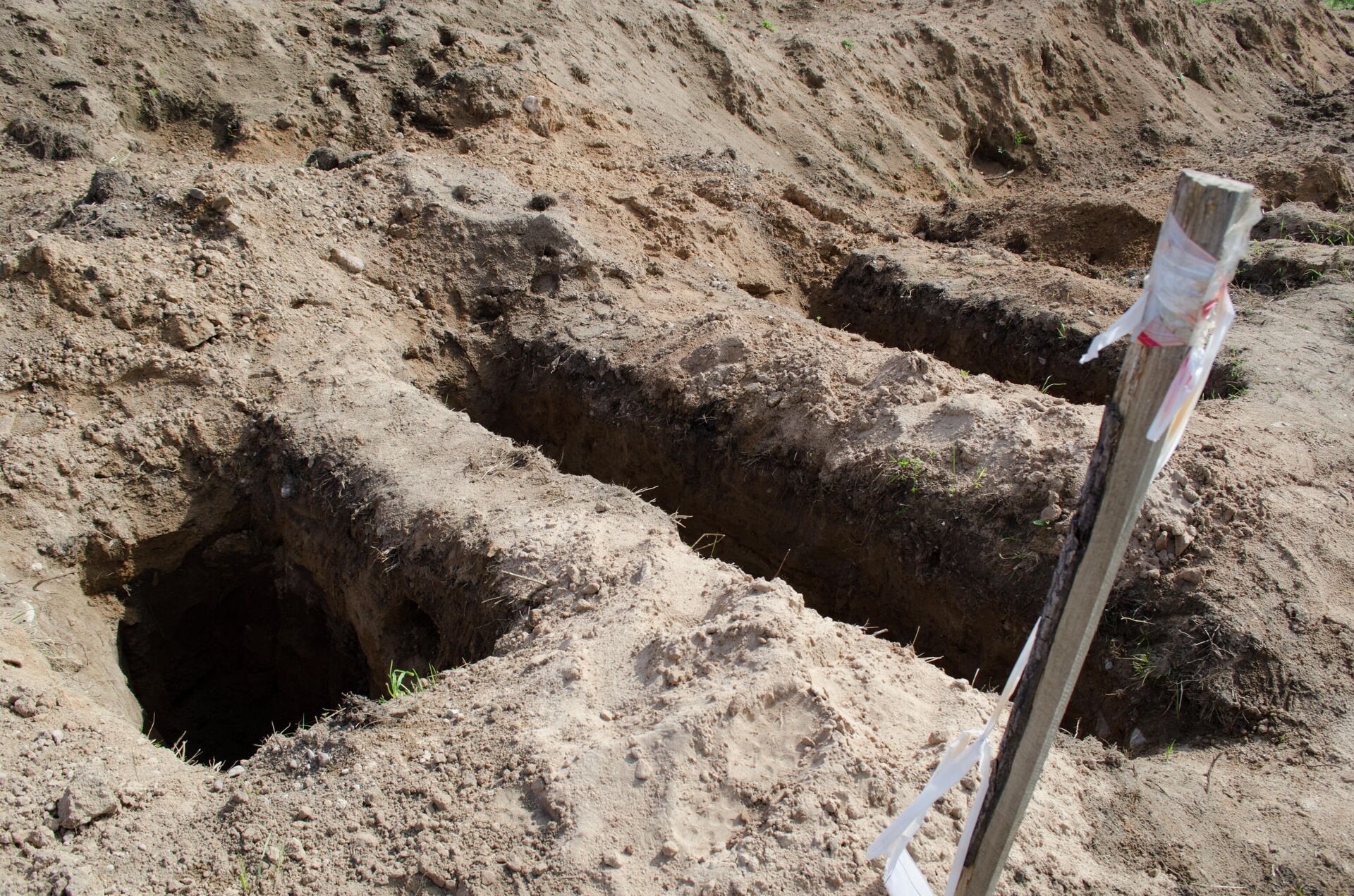 Место раскопок в районе деревни Жестяная Горка, где следователи обнаружили около 500 тел жертв латвийских карателей - РИА Новости, 1920, 29.10.2020
