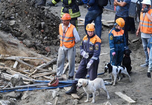Сотрудники МЧС РФ с собаками на месте завалов, где обрушилось перекрытие в строящемся здании в Новосибирске