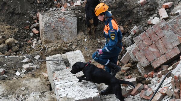 Сотрудник МЧС РФ с собакой на месте завалов, где обрушилось перекрытие в строящемся здании в Новосибирске