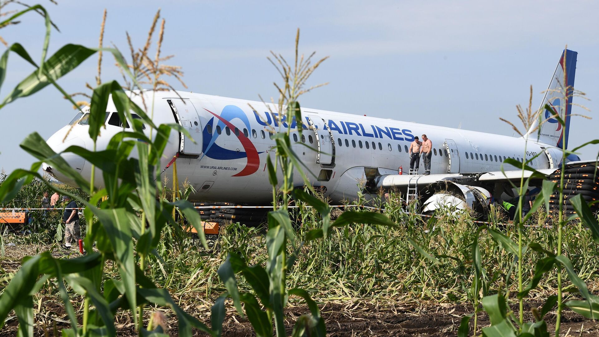 Самолет Airbus А321 авиакомпании Уральские авиалинии в кукурузном поле в районе деревни Рыбаки в Раменском районе Московской области - РИА Новости, 1920, 20.08.2024