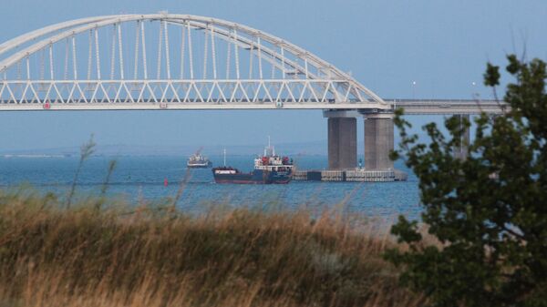 Грузовые суда у Крымского моста через Керченский пролив