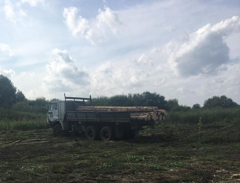 Вывоз срубленных деревьев в поселке Красный Завод