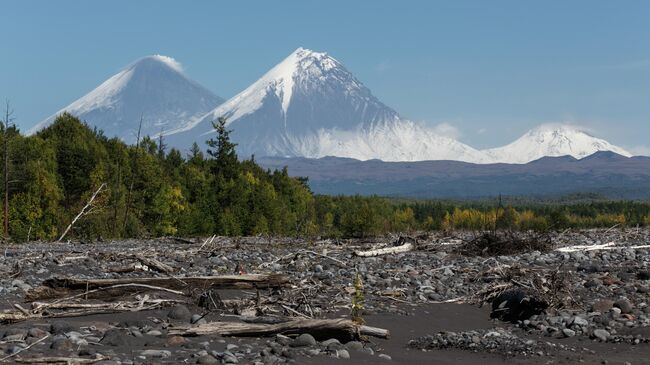 Вид на вулканы Ключевской, Камень и Безымянный с русла реки Студеной на Камчатке