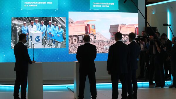 Президент РФ Владимир Путин в режиме видеоконференции наблюдает за вводом в эксплуатацию рыбоперерабатывающего завода на острове Шикотан