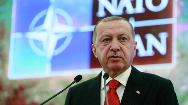 Президент Турции Реджеп Тайип Эрдоган выступает на заседании НАТО в Анкаре
