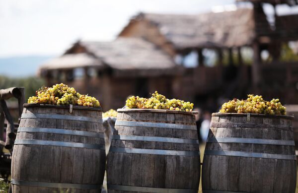 Бочки с виноградом на Празднике Винограда в интерактивном парке Викинг в селе Перевальное Симферопольского района