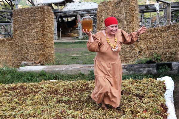 Женщина давит виноград на Празднике Винограда в интерактивном парке Викинг в селе Перевальное Симферопольского района