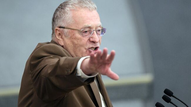 Руководитель фракции ЛДПР в Государственной Думе РФ Владимир Жириновский