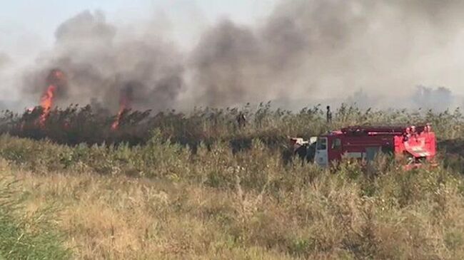 В Ростовской области горит сухостой