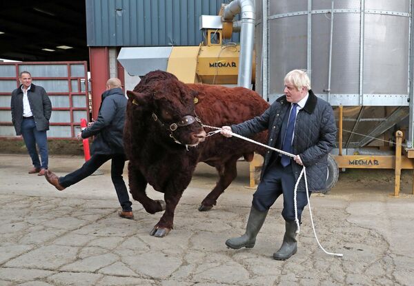 Премьер-министр Великобритании Борис Джонсон на ферме в Дарнфорде, Шотландия