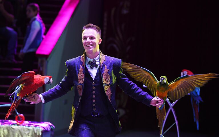 Дрессировщик Олег Хотим с дрессированными попугаями  участвует во Всемирном фестивале циркового искусства Идол