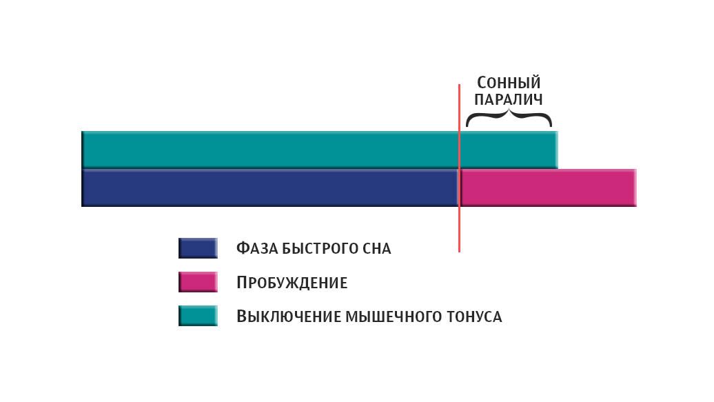 Сонный паралич - РИА Новости, 1920, 06.08.2021