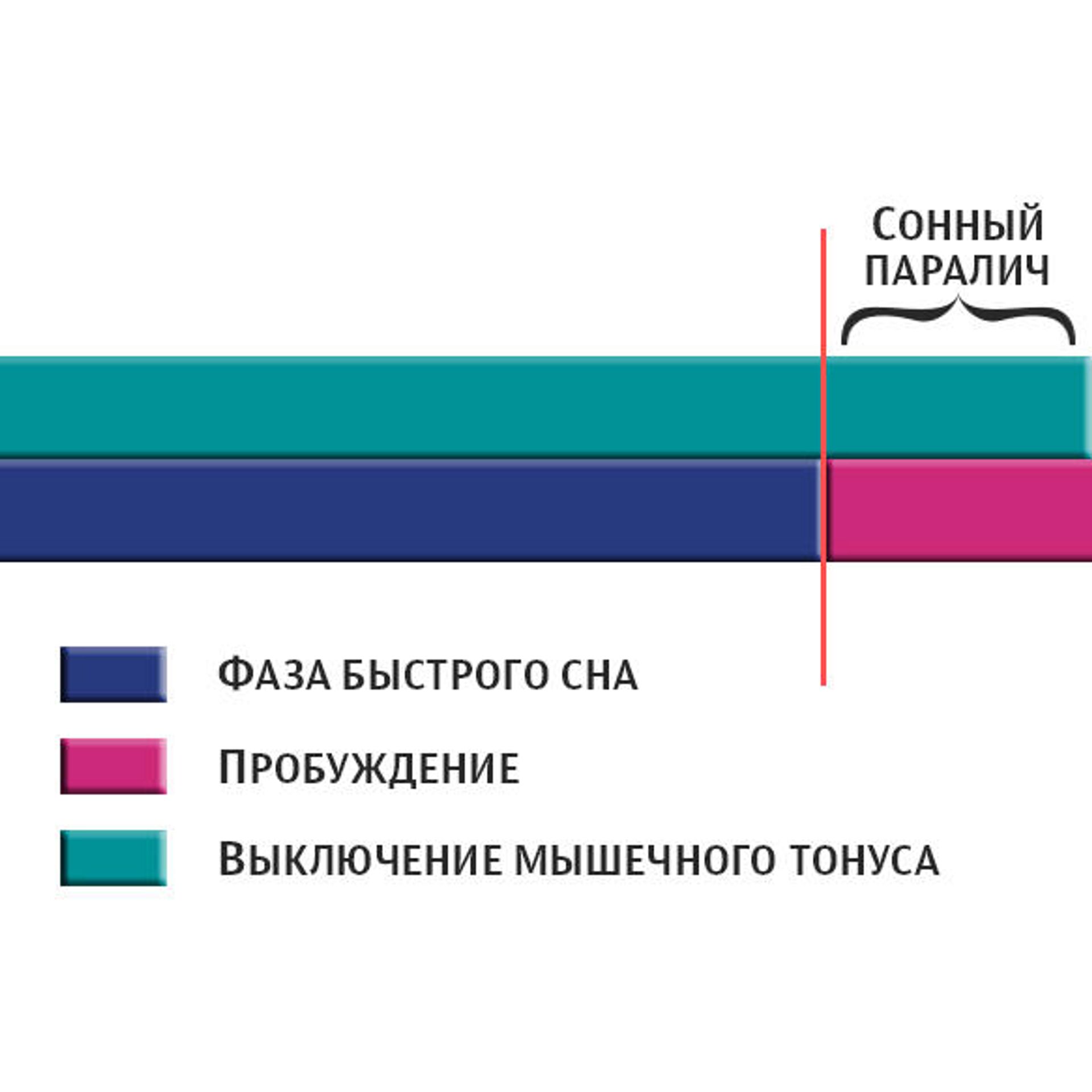 Девушка в купальнике потеряла память - Новости Новокузнецка. Кемеровская область, Кузбасс.