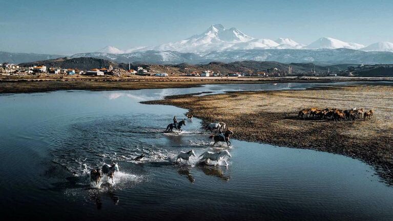 Ömerali Şenakaylı. Работа финалиста конкурса фотографии EyeEm Awards 2019