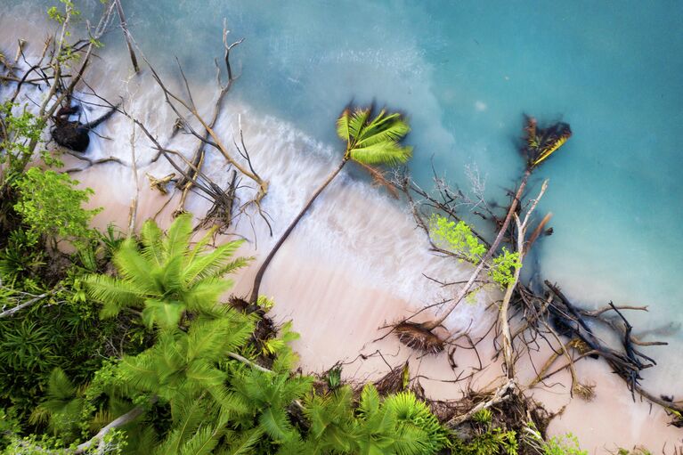 Sean Gallagher. Работа победителя конкурса Environmental Photographer of the Year 2019