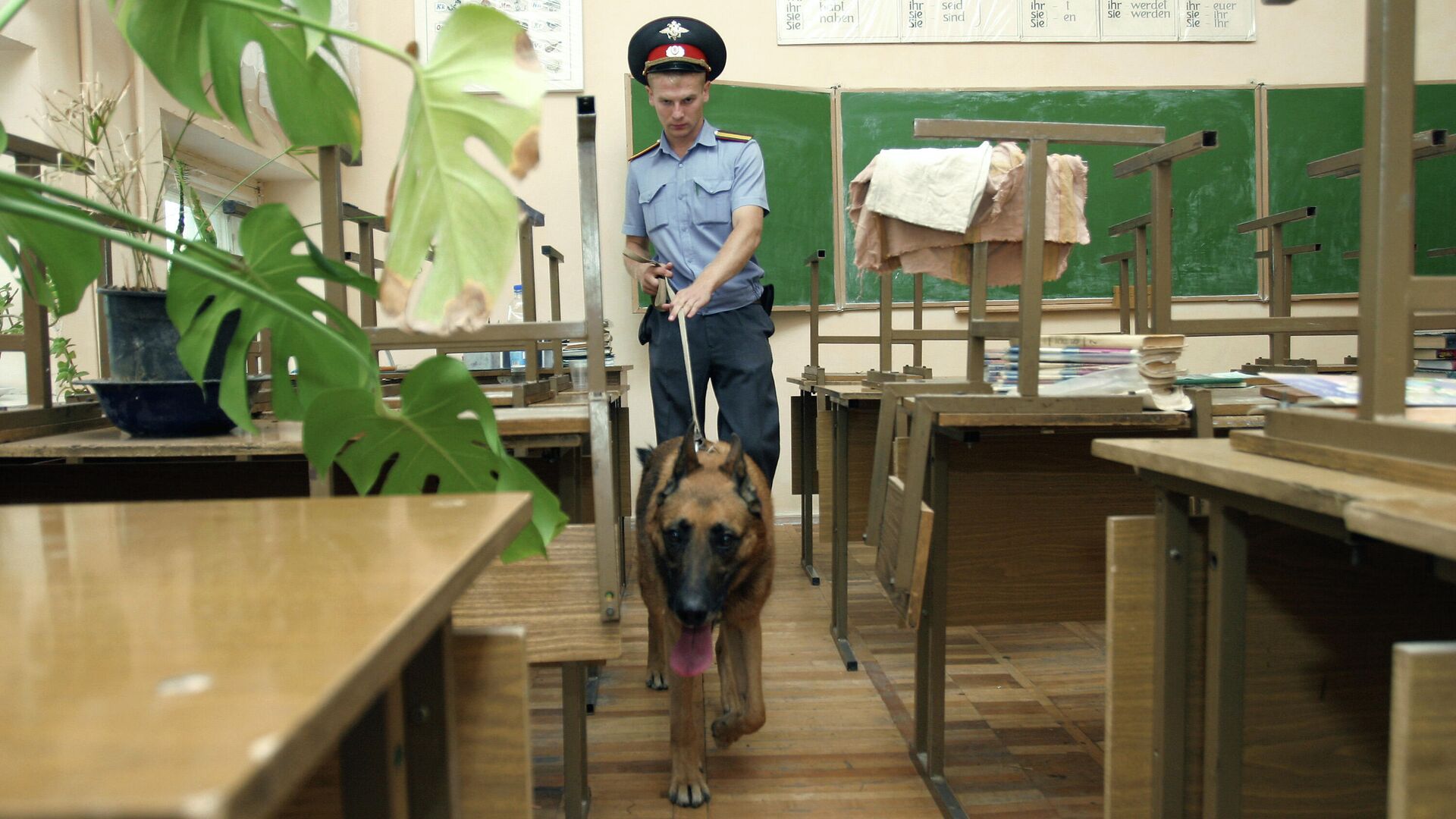Сотрудник полиции проверяет с собакой учебный класс - РИА Новости, 1920, 11.10.2021