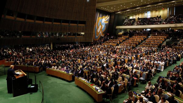 74-я сессия Генеральной Ассамблеи ООН