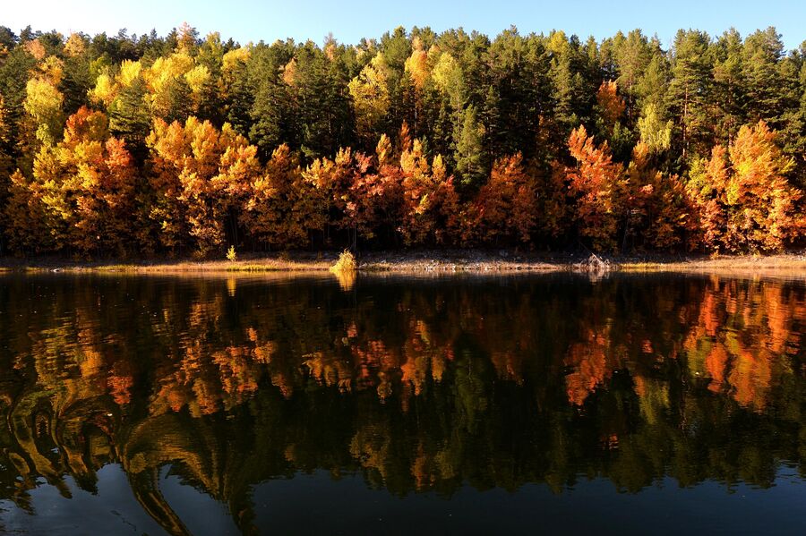 Осенняя сибирская тайга на берегу реки Енисей