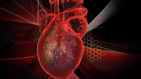 Человеческое сердце с ЭКГ