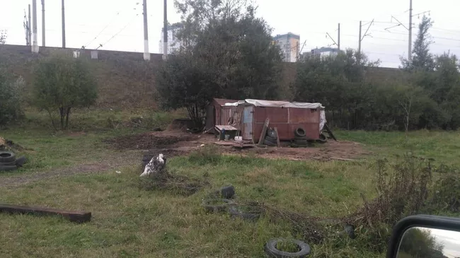 Конюшня бесхозной лошади в Санкт-Петербурге