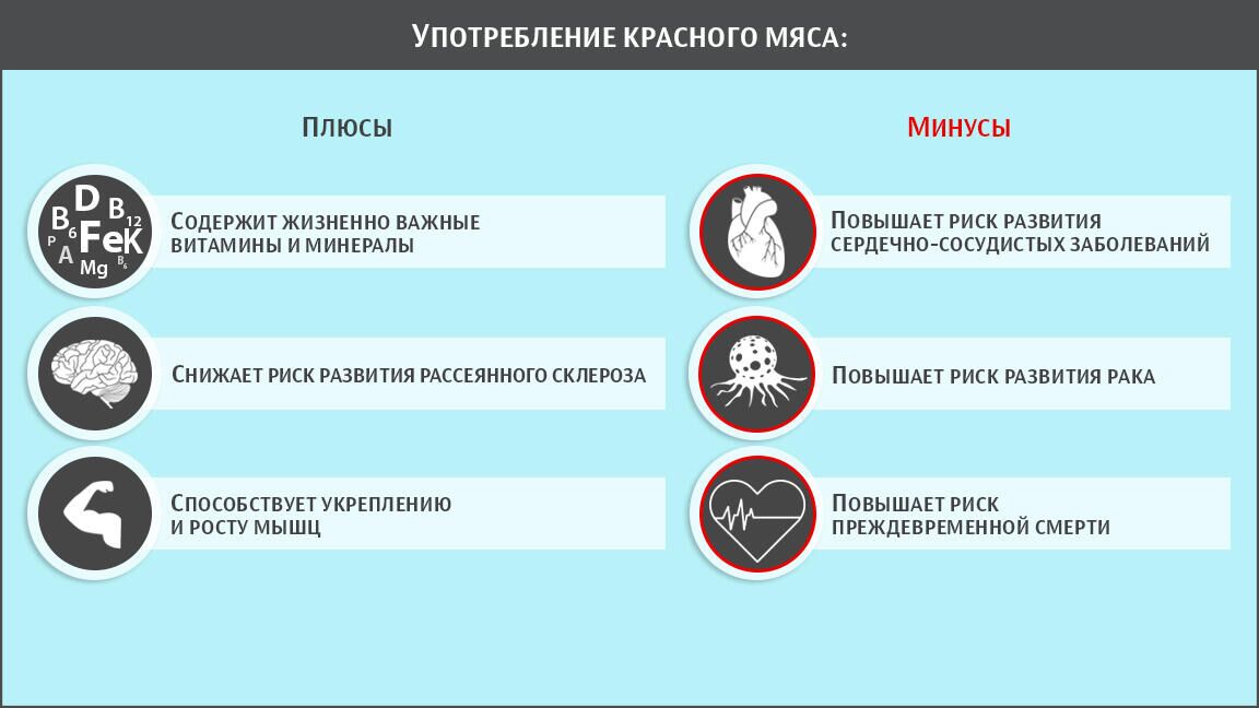 К чему приводит употребление красного мяса - РИА Новости, 1920, 23.12.2020