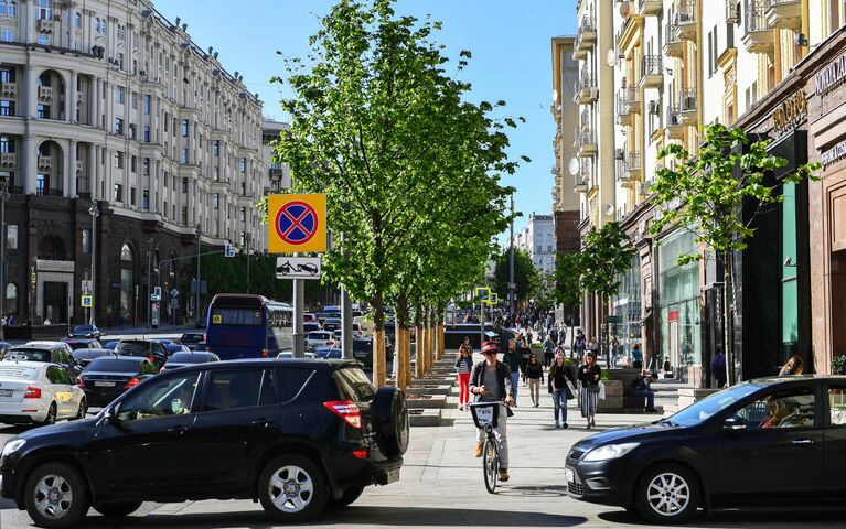 Липы на Тверской улице в Москве