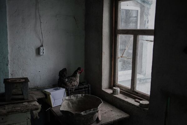 Фотография Валерия Мельникова из серии Серая зона