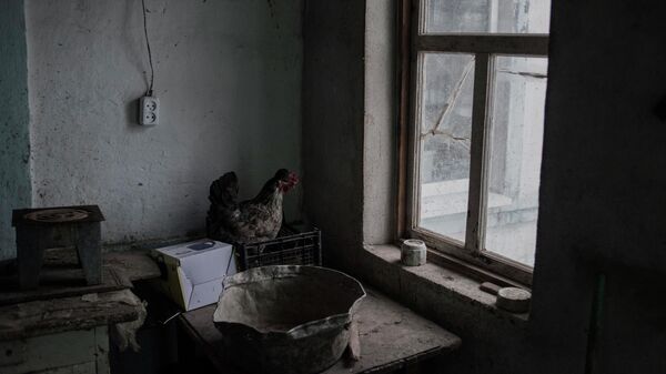 Фотография Валерия Мельникова из серии Серая зона
