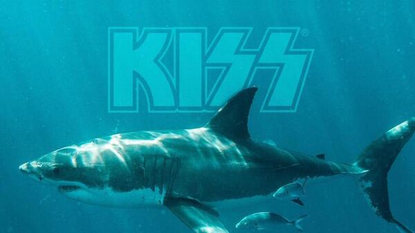 Фотография, анонсирующая концерт группы Kiss для акул