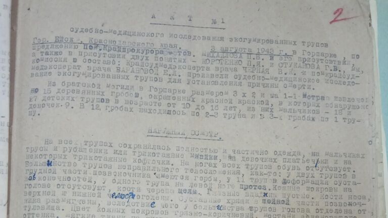 Рассекреченные документы о казни воспитанников ейского детского дома 9 октября 1942 года