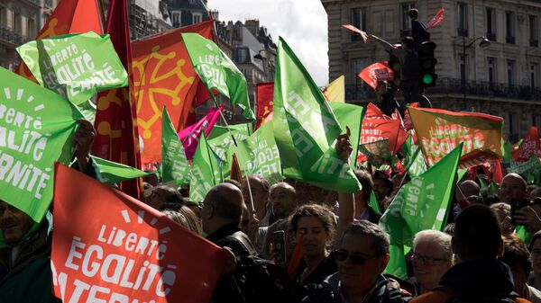 Участники протеста В Париже против законопроекта об искусственном оплодотворении 