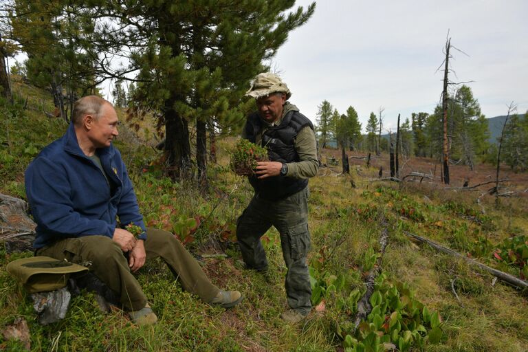 Президент РФ Владимир Путин и министр обороны РФ Сергей Шойгу во время прогулки в тайге