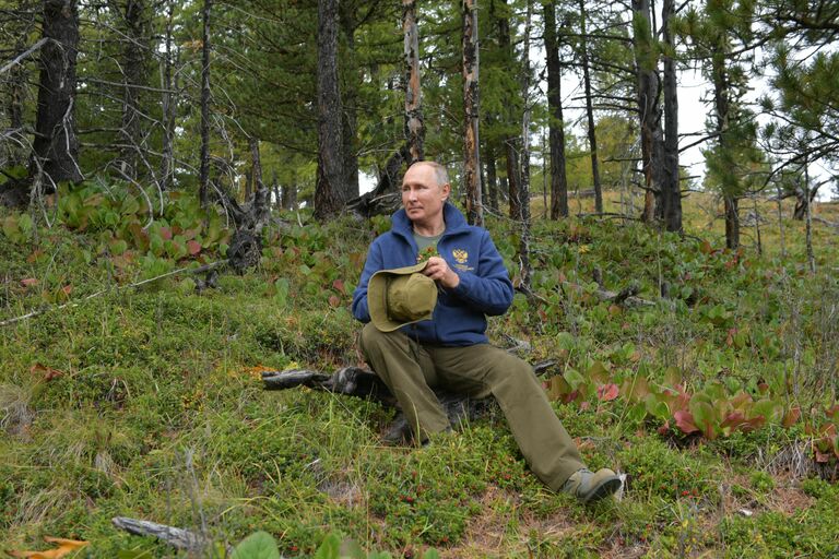 Президент РФ Владимир Путин во время прогулки в тайге