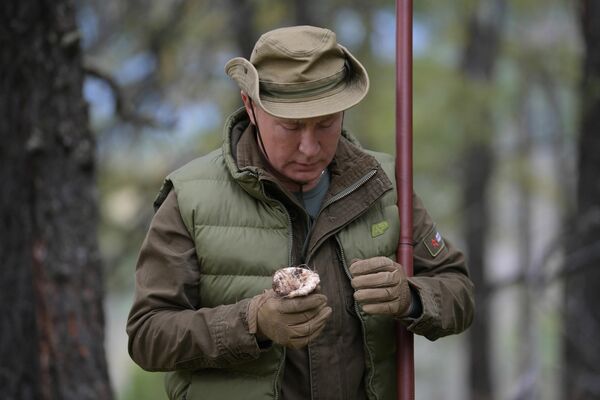 Президент РФ Владимир Путин во время прогулки в тайге