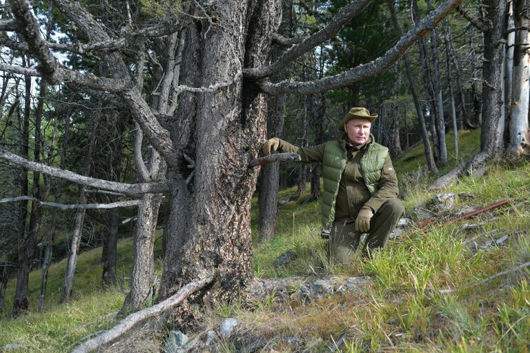 Президент РФ Владимир Путин во время прогулки в тайге