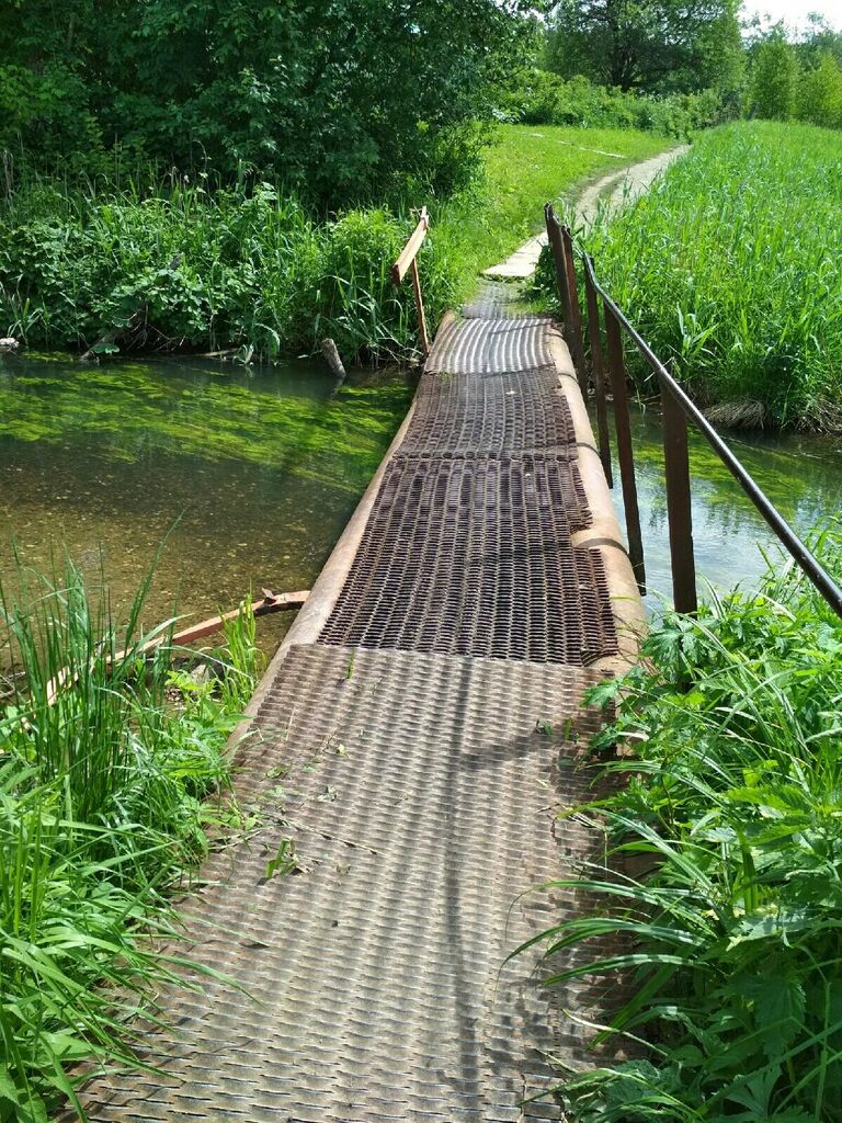 Кража моста в Деденево Кража моста в Деденево