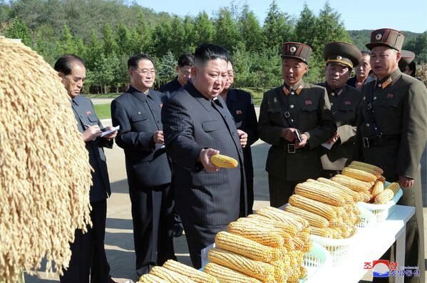 Лидер Северной Кореи Ким Чен Ун во время посещения фермы