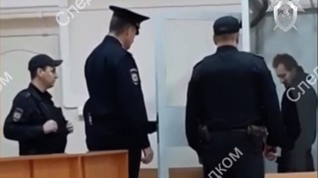 Житель Саратова, подозреваемый в убийстве девятилетней школьницы в Саратове, в суде. Стоп-кадр видео