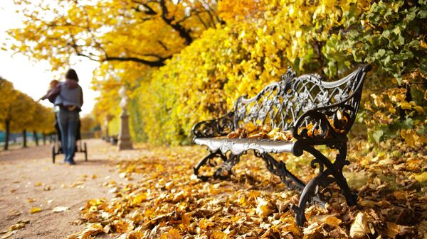 Осень в московском парке