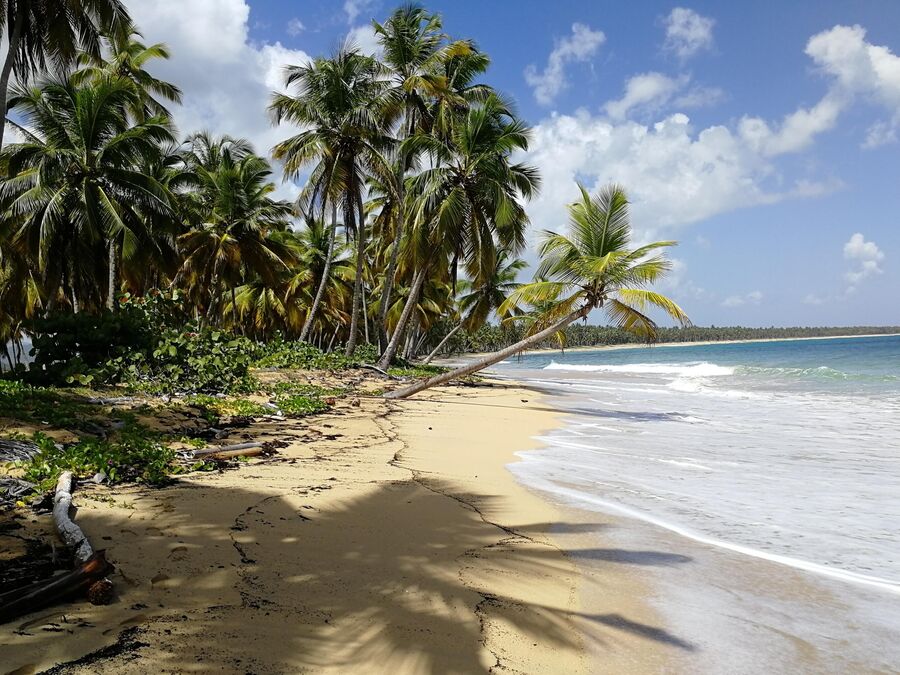 Доминикана. Побережье Атлантического океана