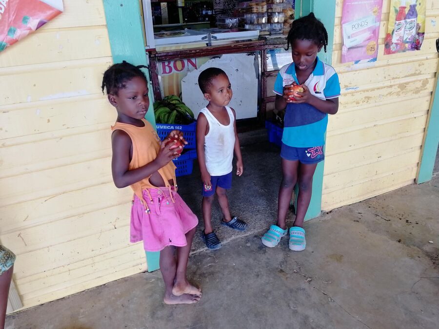 Сафари в Доминикане