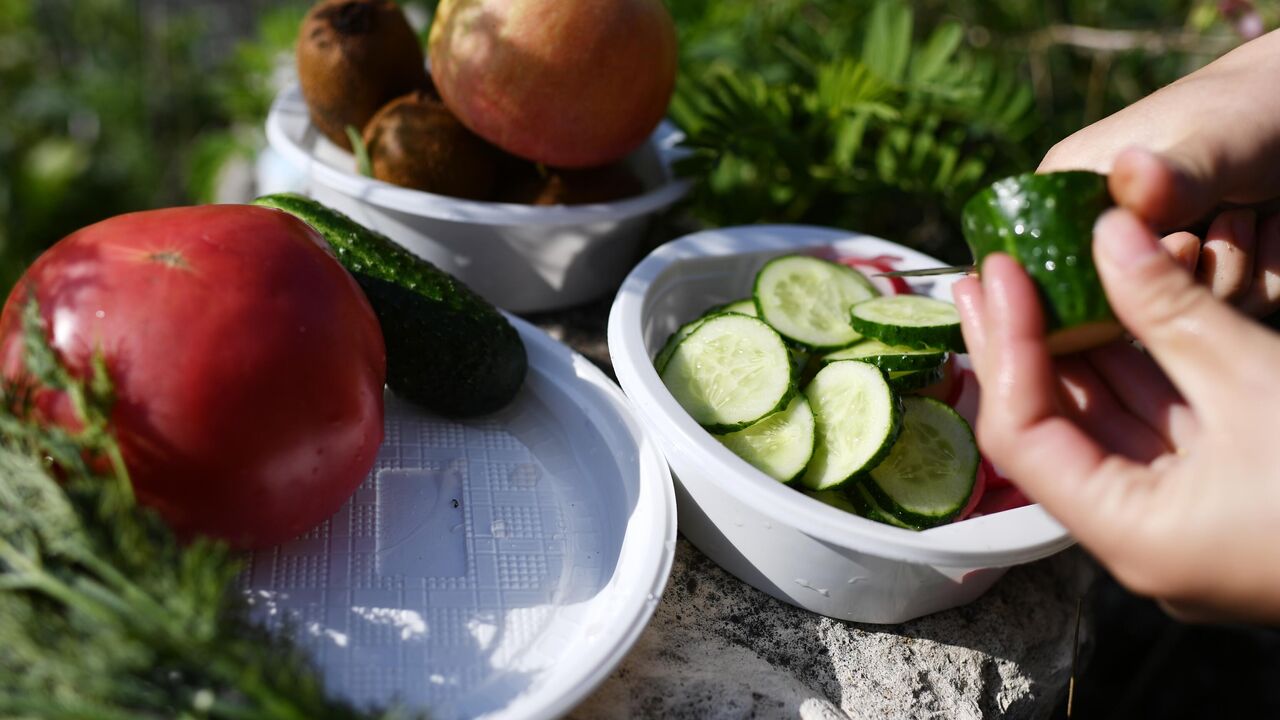 Таблица белков: их содержание в продуктах питания, список